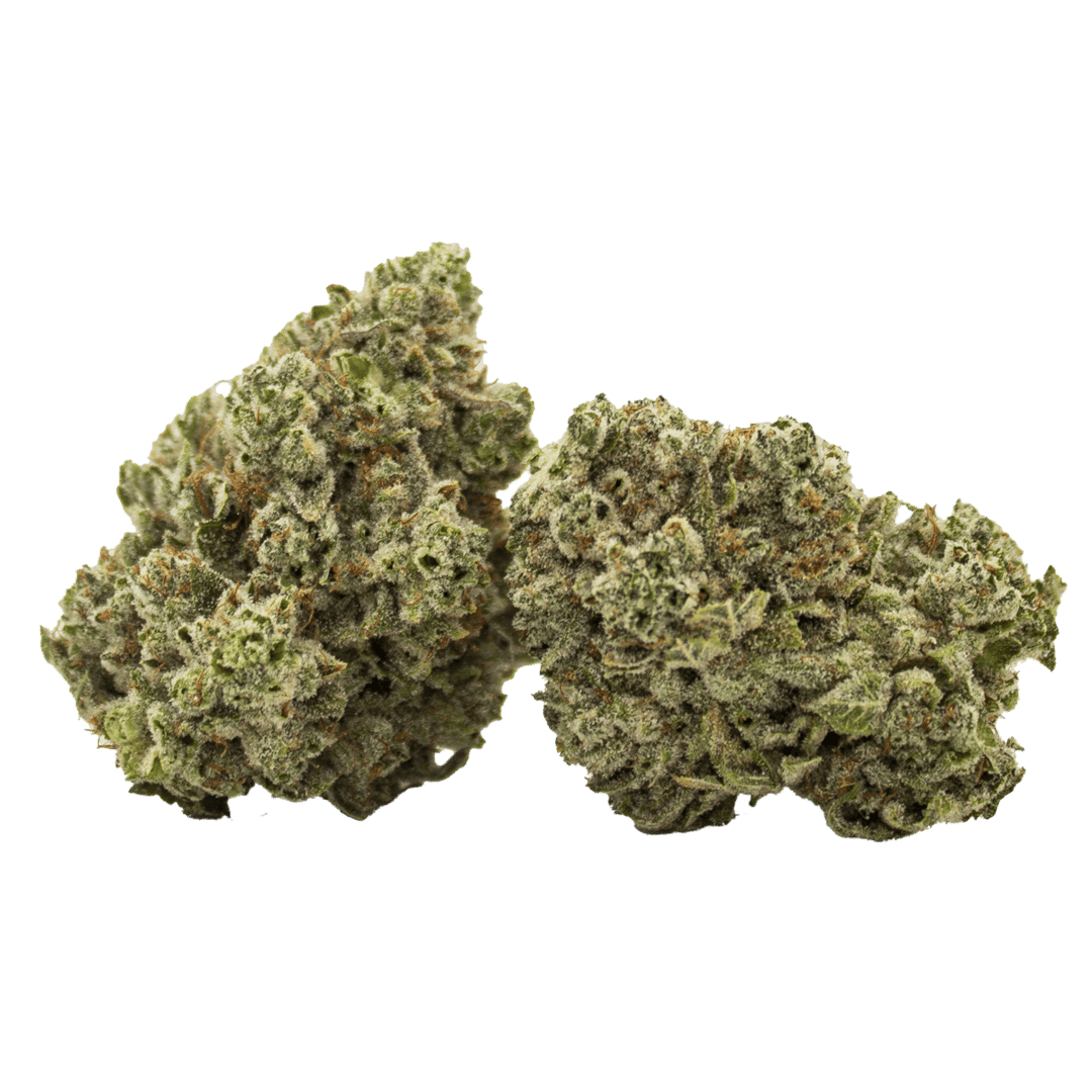 Gorgeous Glue