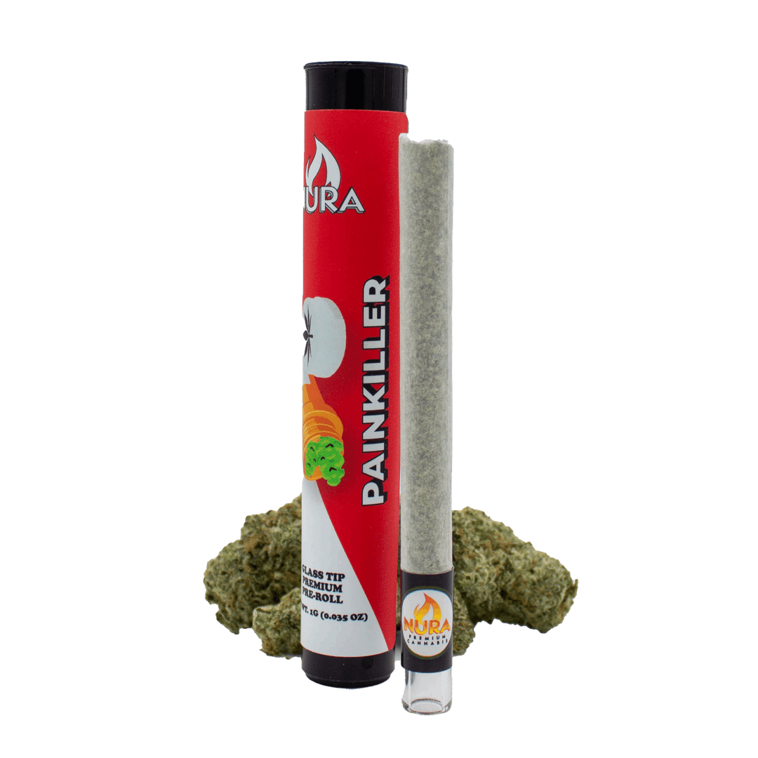 Pain Killer - 1G Glass Tip