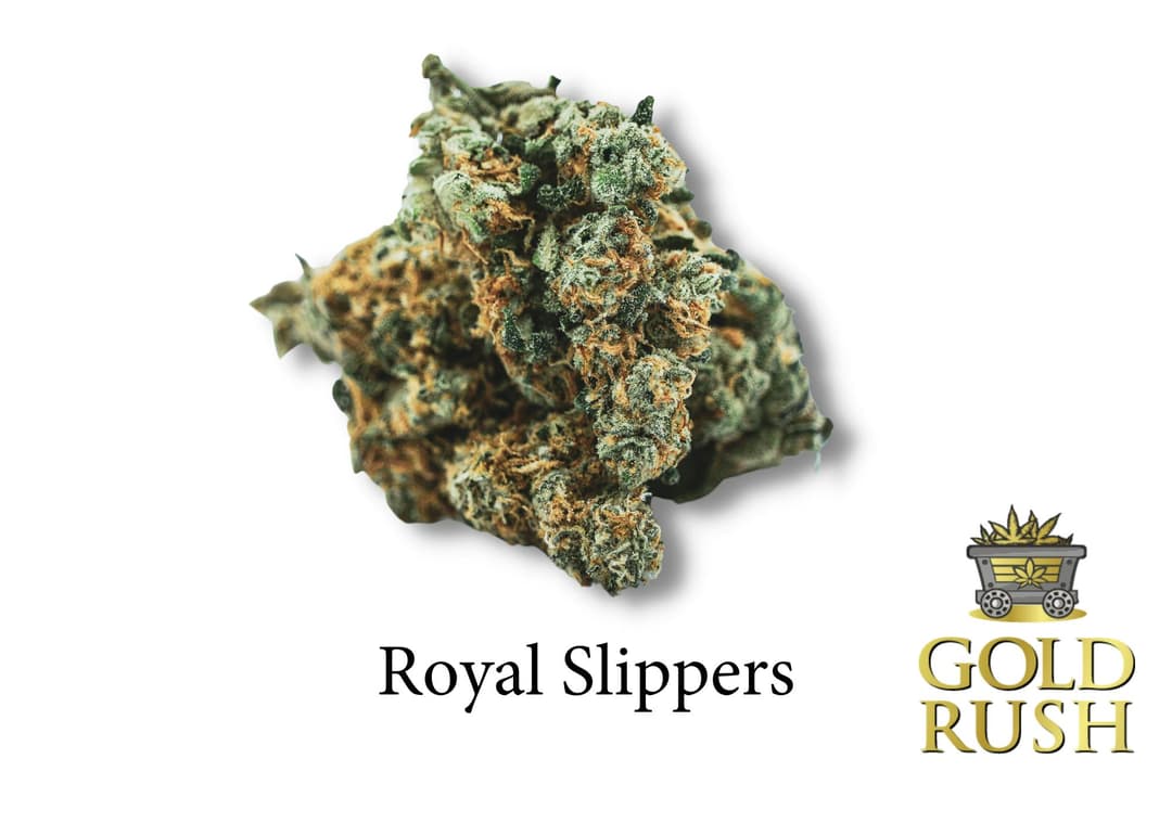 Gold Rush | Royal Slippers | 3.5g | Pre-Packaged Flower
