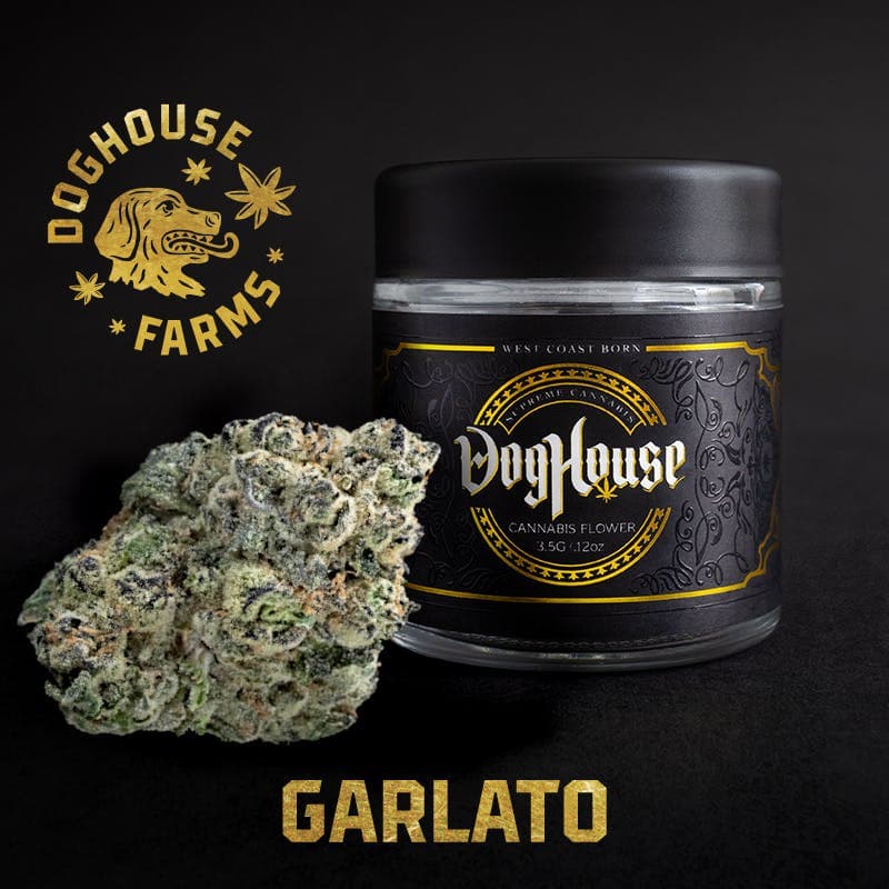 Garlato - 3.5g Glass Jar - Indica