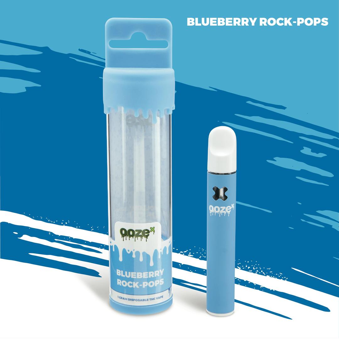 Blueberry Rock Pops