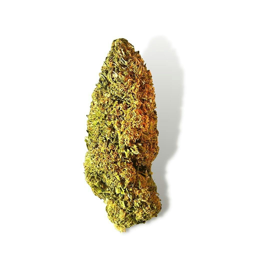 Exotix - Grand Daddy Purple (I) - 14g