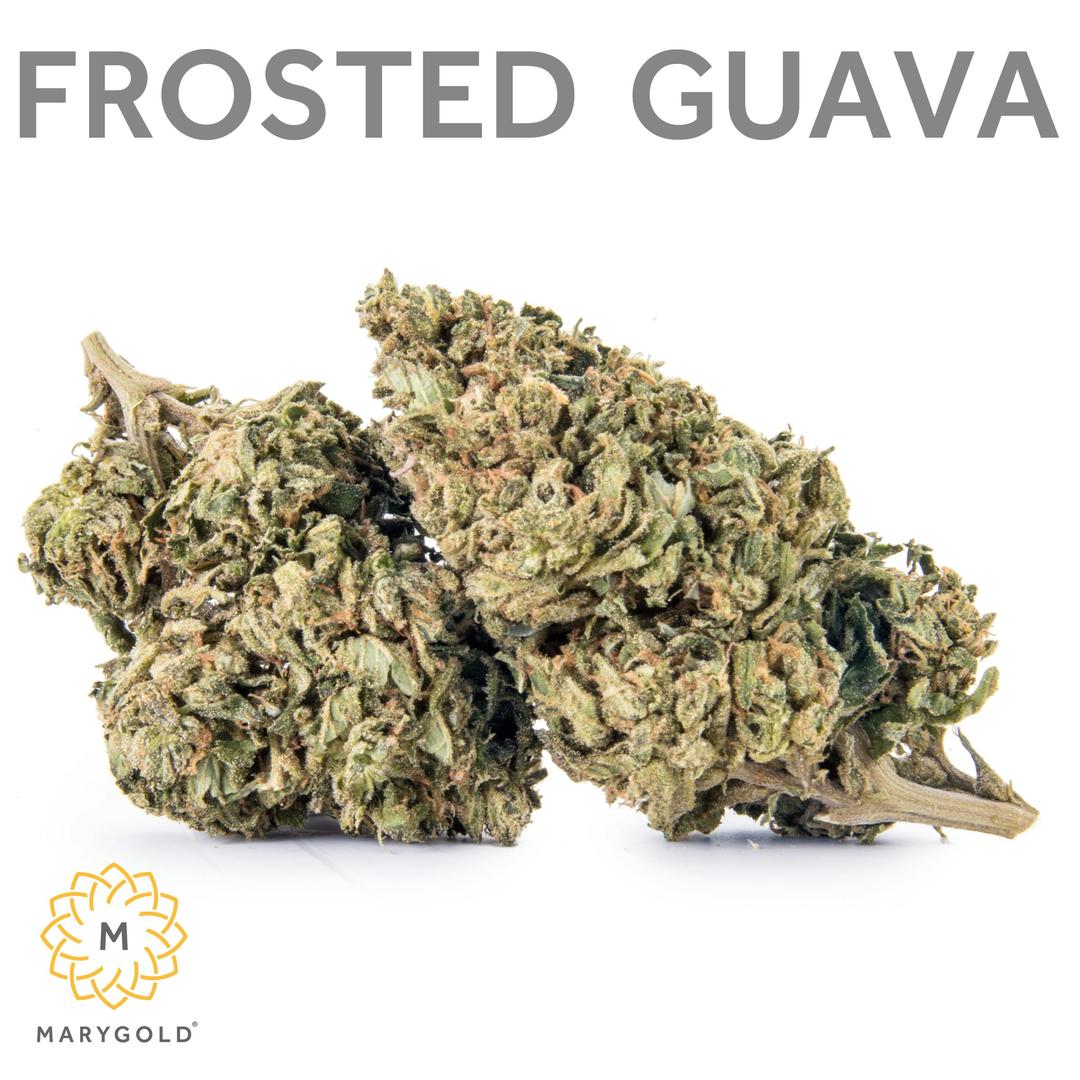 Frosted Guava 14g (28% THC Sativa)