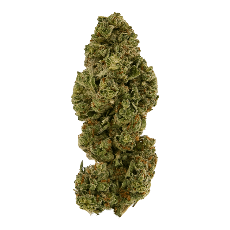 Black - Gelato 33 (H) - 14g