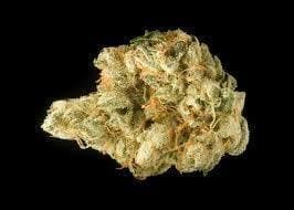 BANANA CREAM