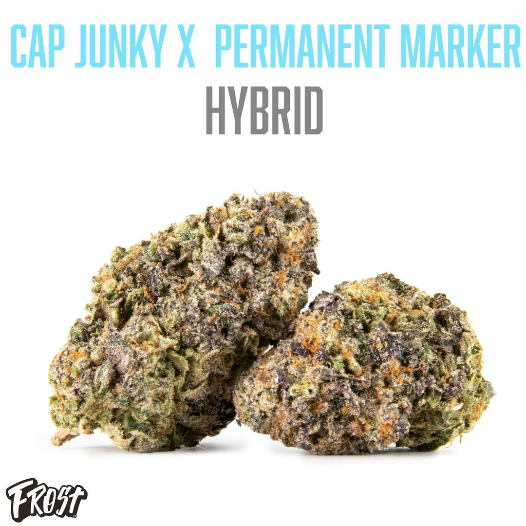 Cap Junky x Permanent Marker (32% THC Hybrid)