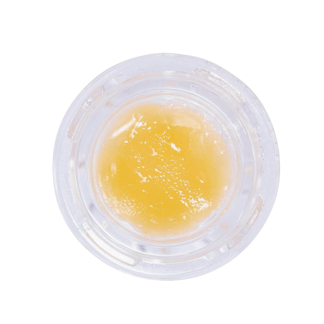 Honey Bee