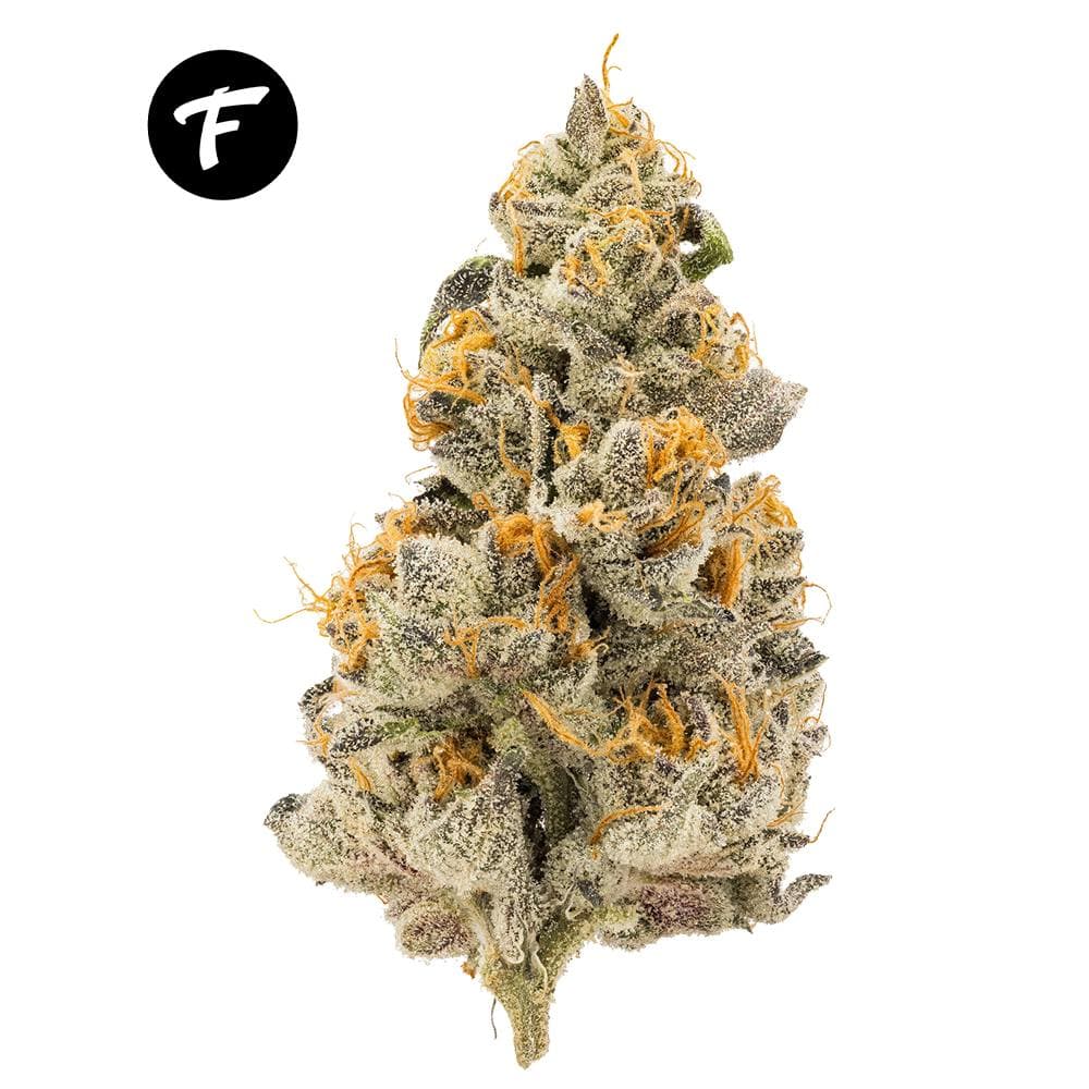 Wedding Pie - 25.81%