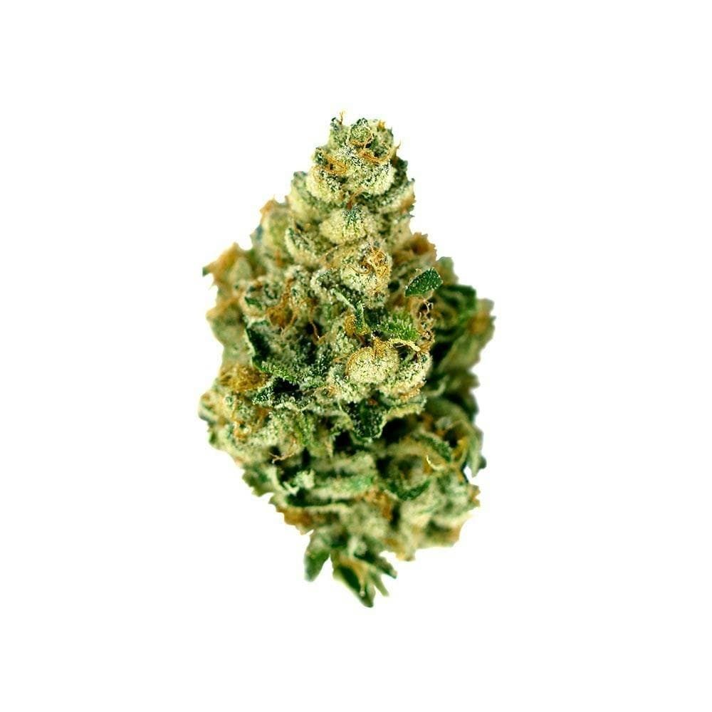 Chem OG [28g]