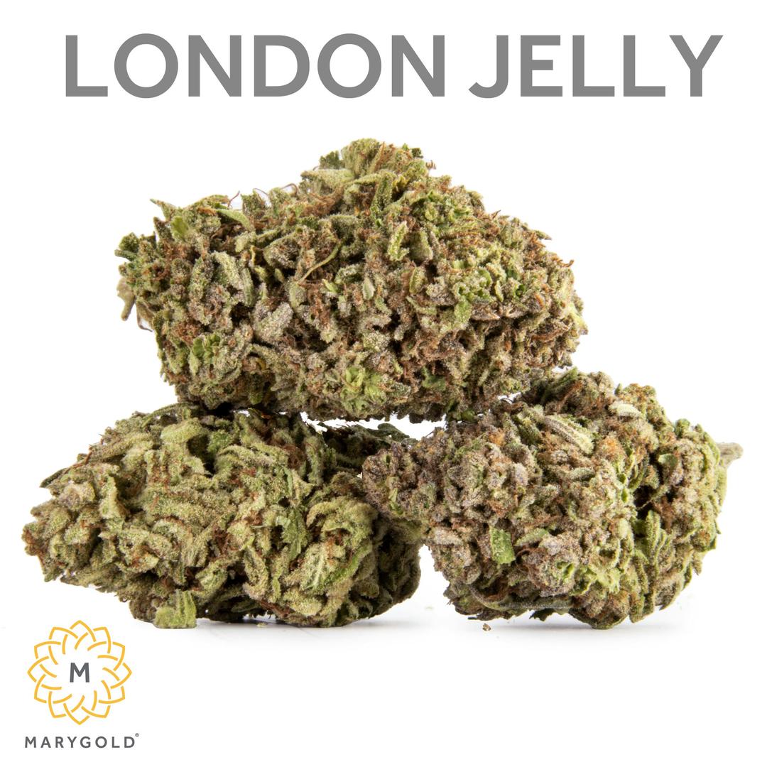 London Jelly 14g (Indica 30% THC)