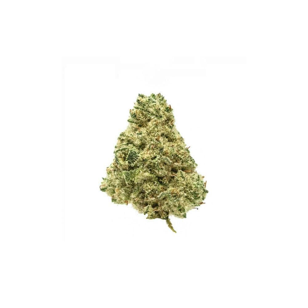 Citral Glue [3.5g]