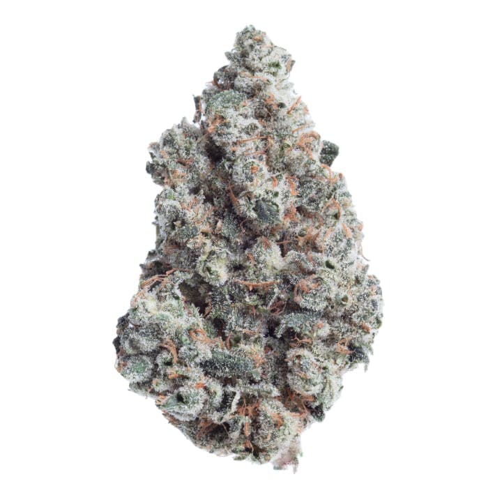 Sour Sniffits