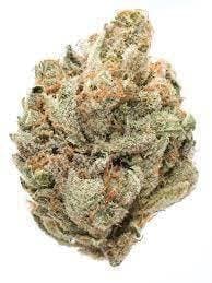 TANGIE LAND