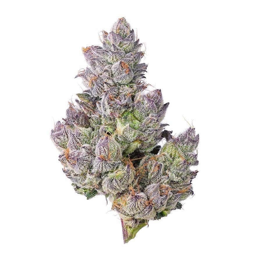 Blue Chip - Z'Animal Runtz 3.5g