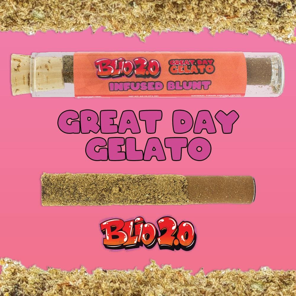 Great Day Gelato - BLIO 2.0