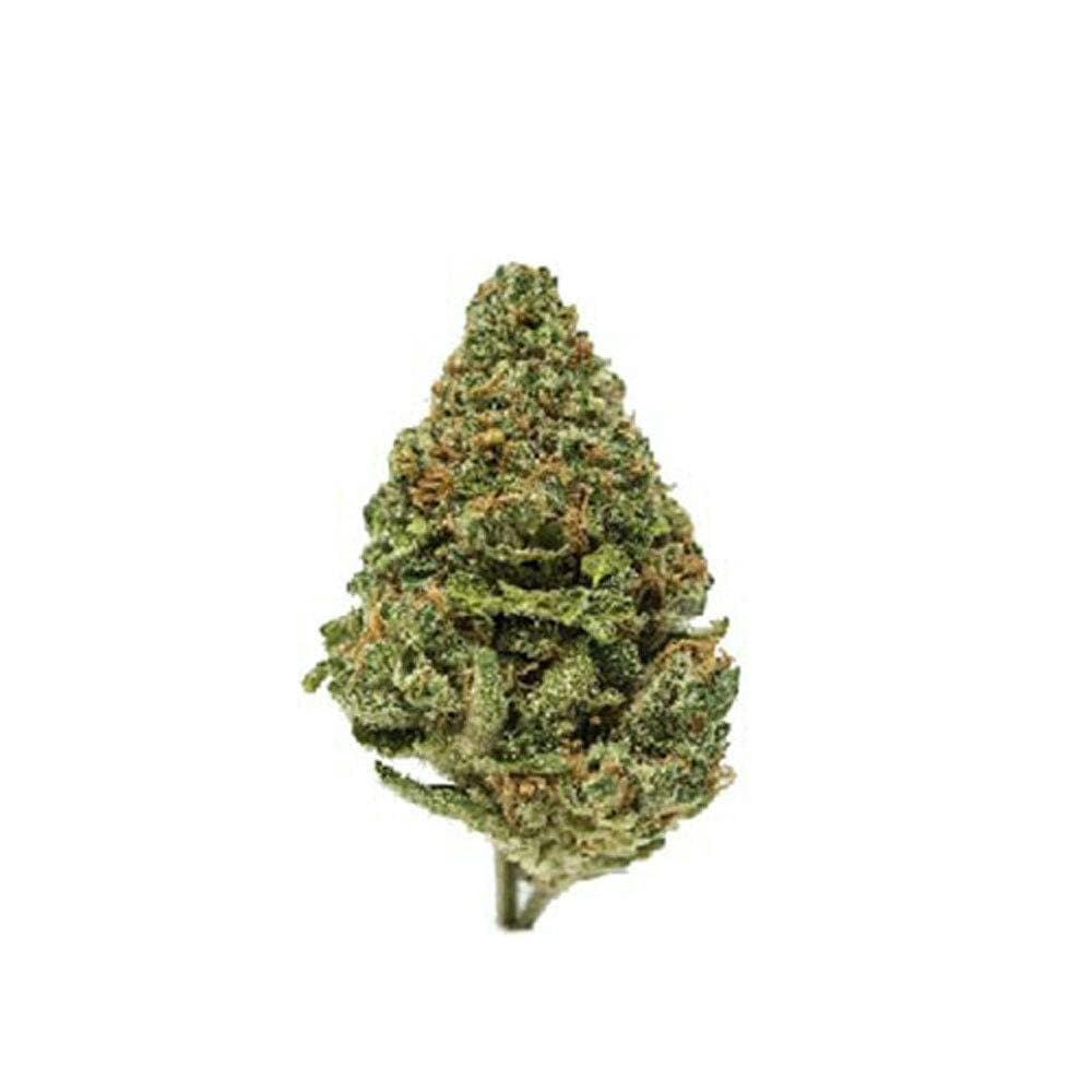 Meltdown [28g]
