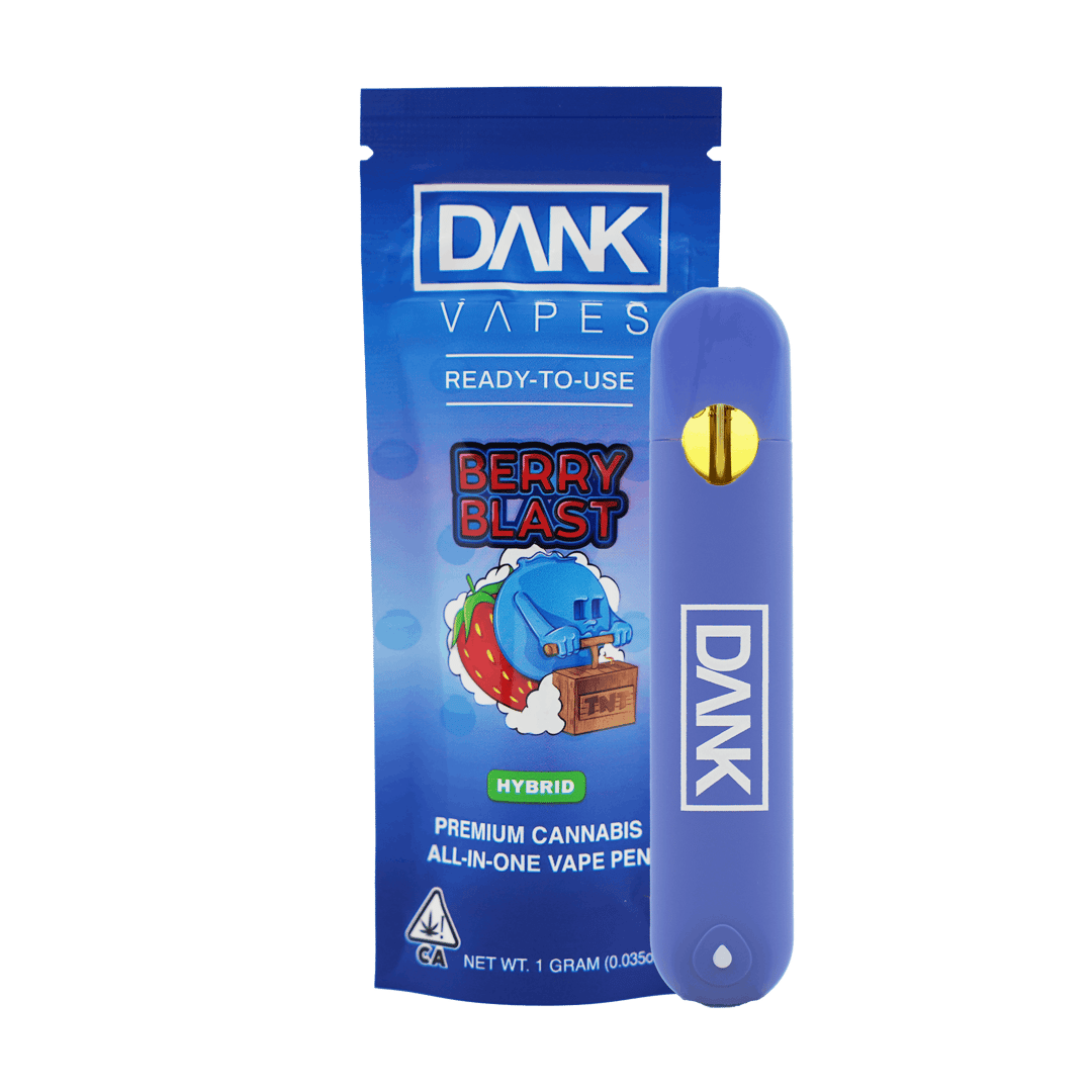 BERRY BLAST - 1G ALL-IN-ONE DISPOSABLE VAPE PEN