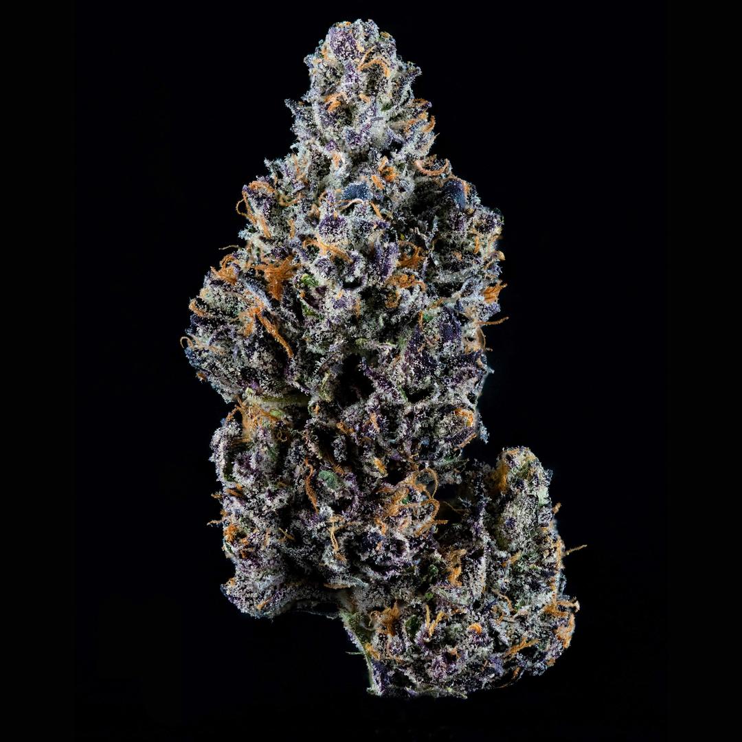 Sherb Cream Pie Flower