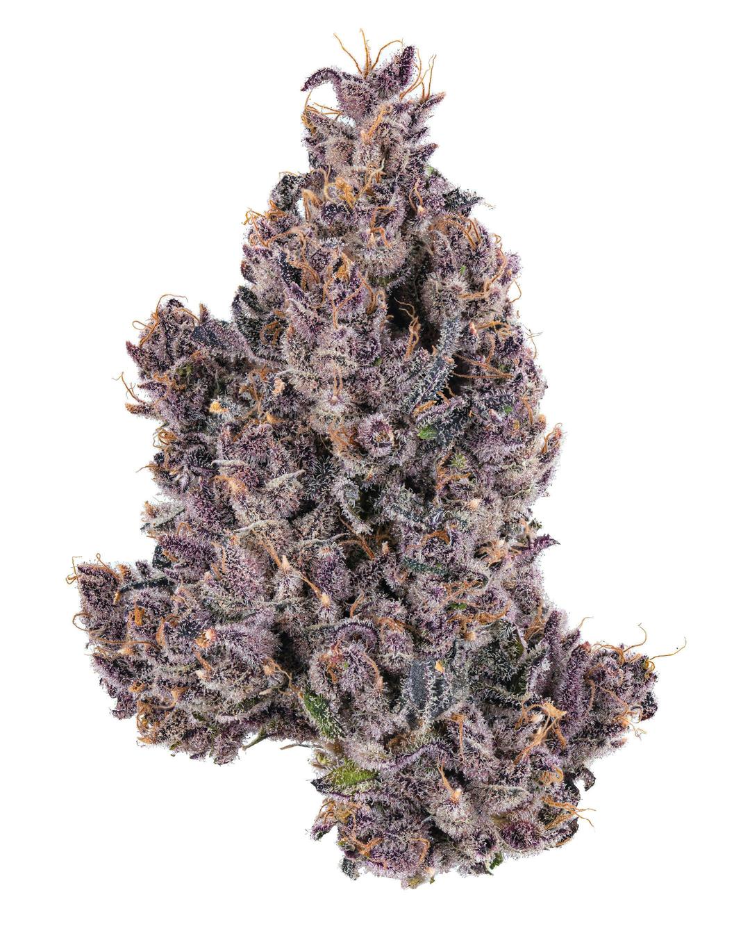 All Gas Flower