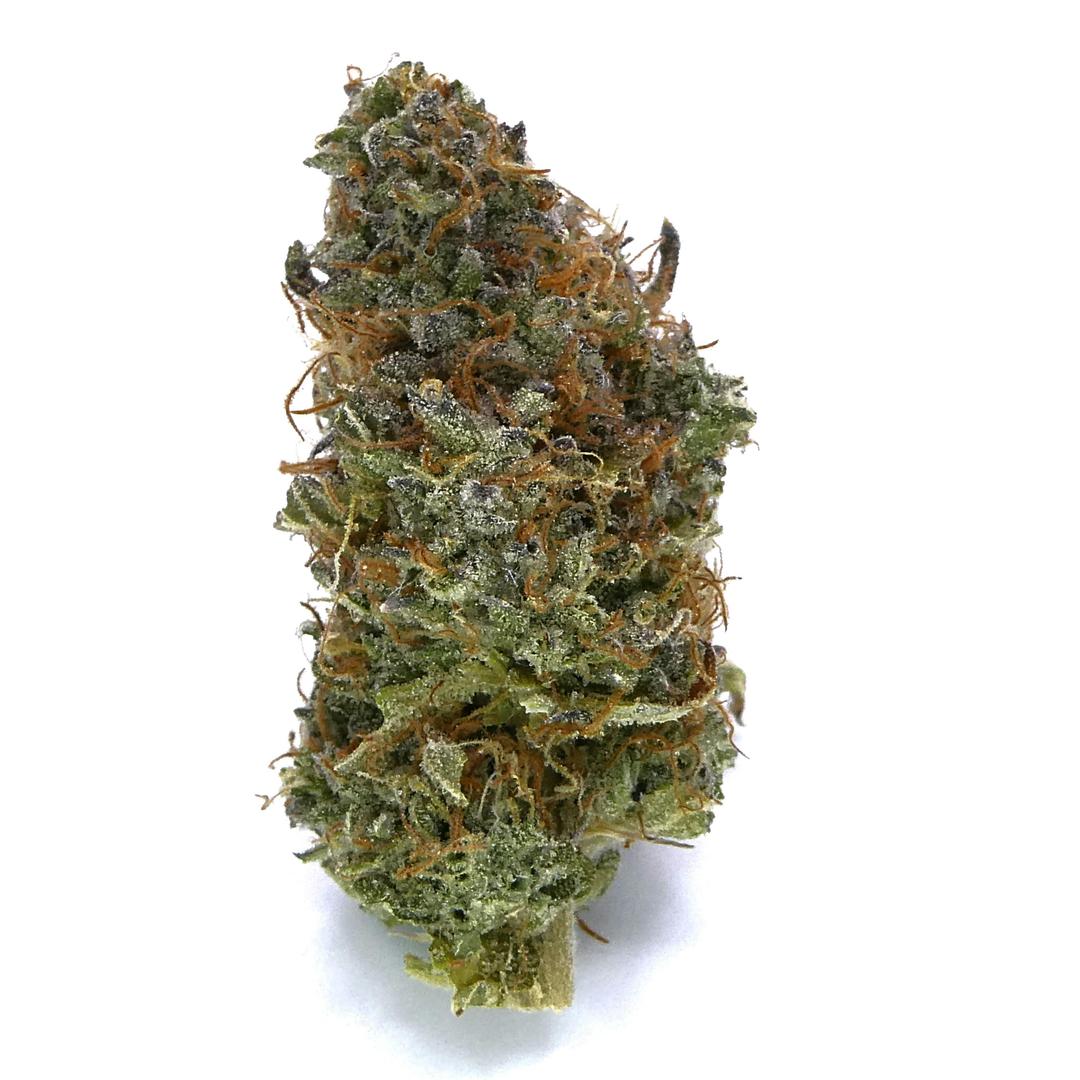 Lemon Royale Buds