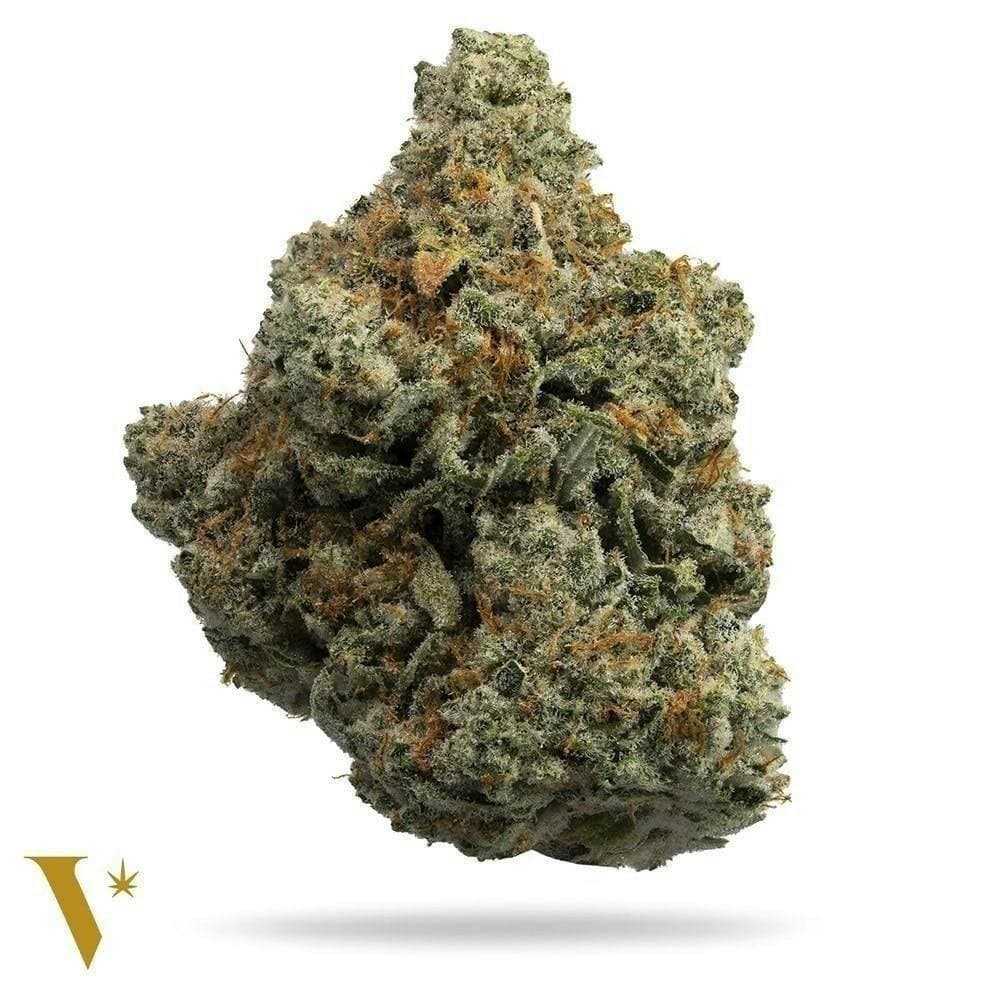 Marmot OG