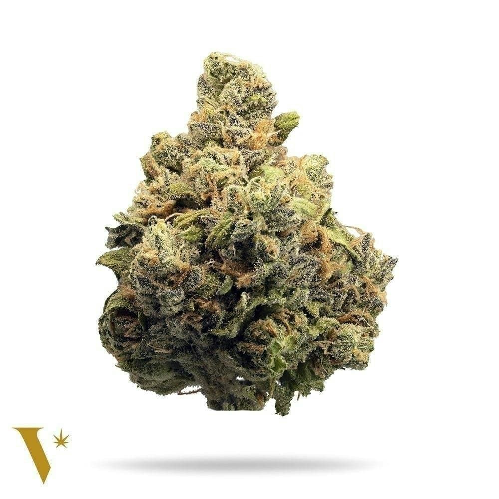 Muffinz Breath #1