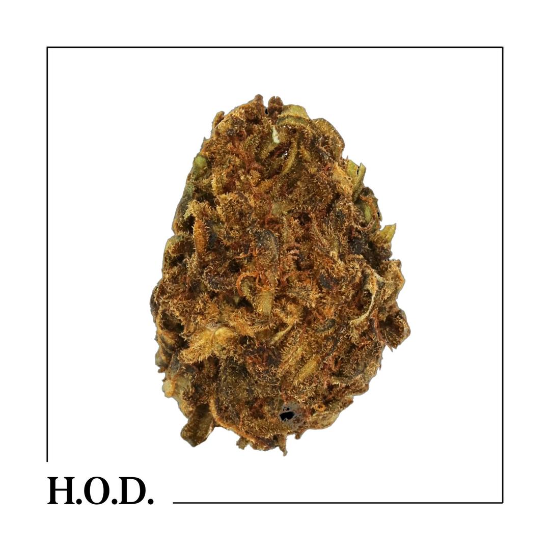 H.O.D. CBD Suver Haze 28g