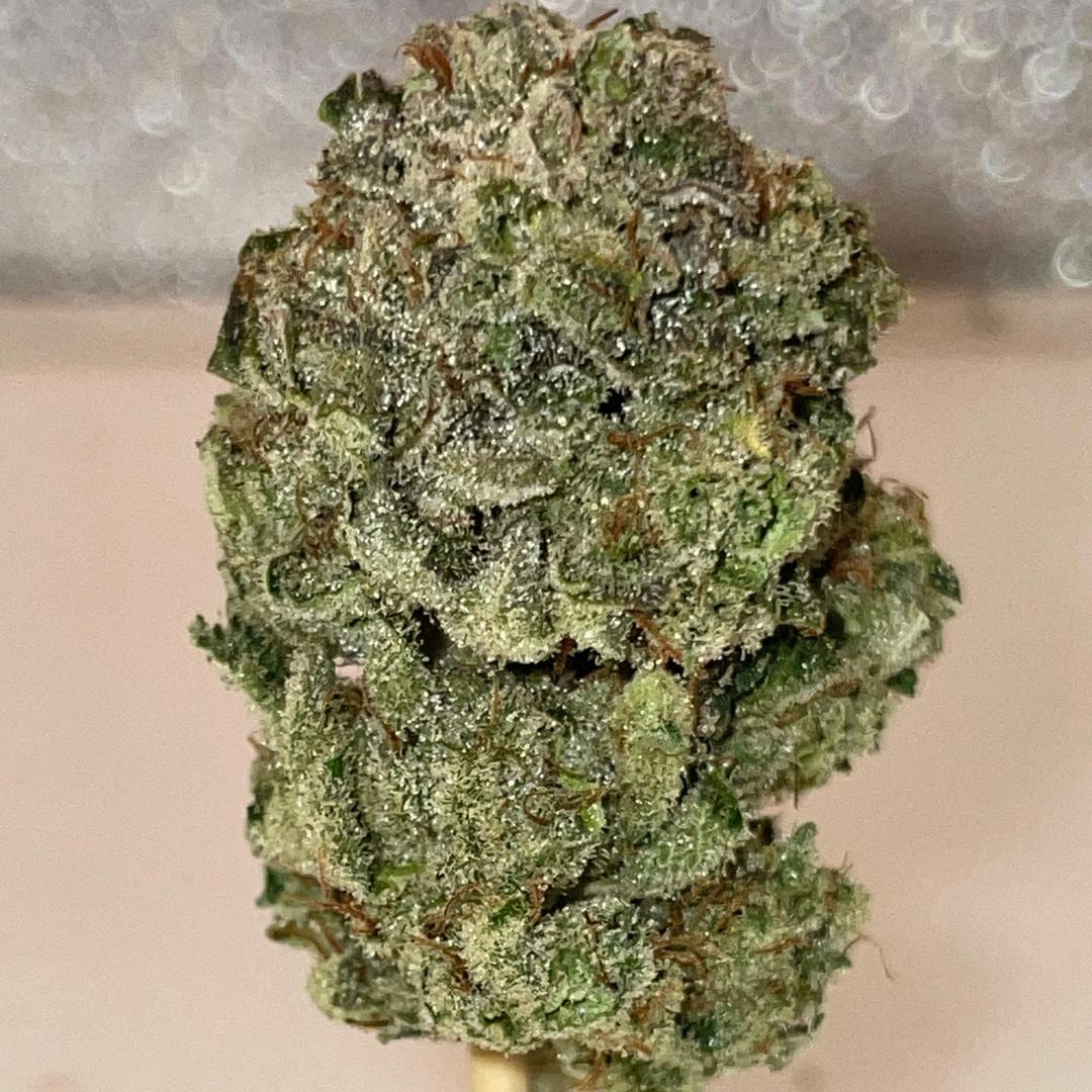 Gorilla Glue