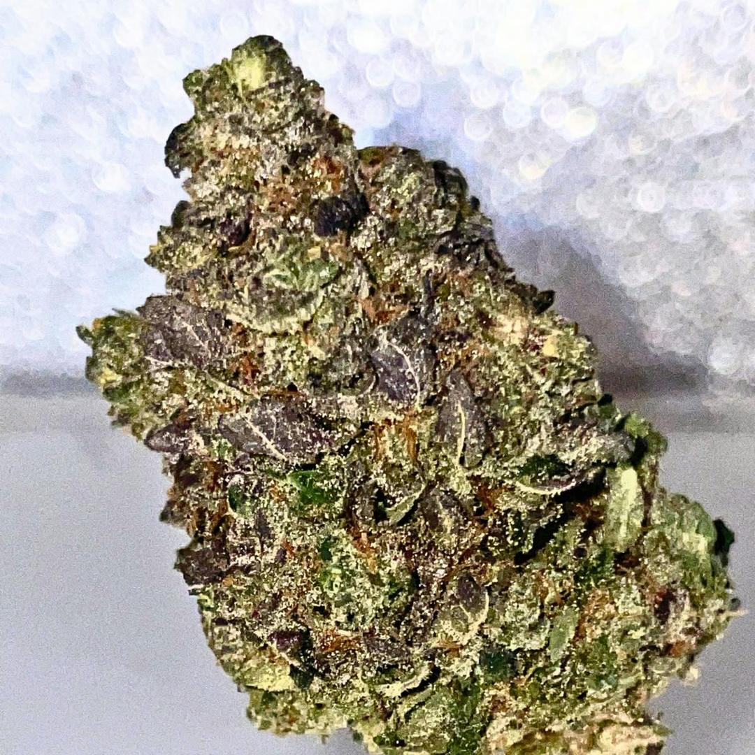 Apple Fritter