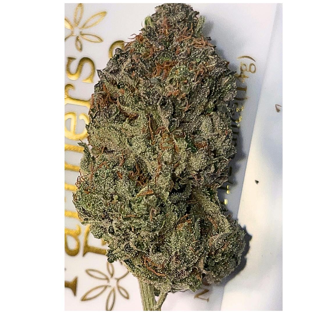 Blueberry Gelato