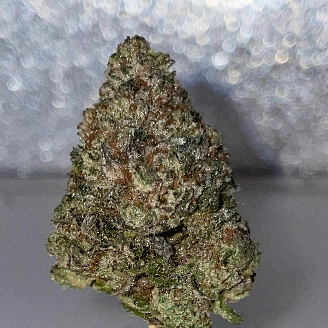 Sunset Sherbet