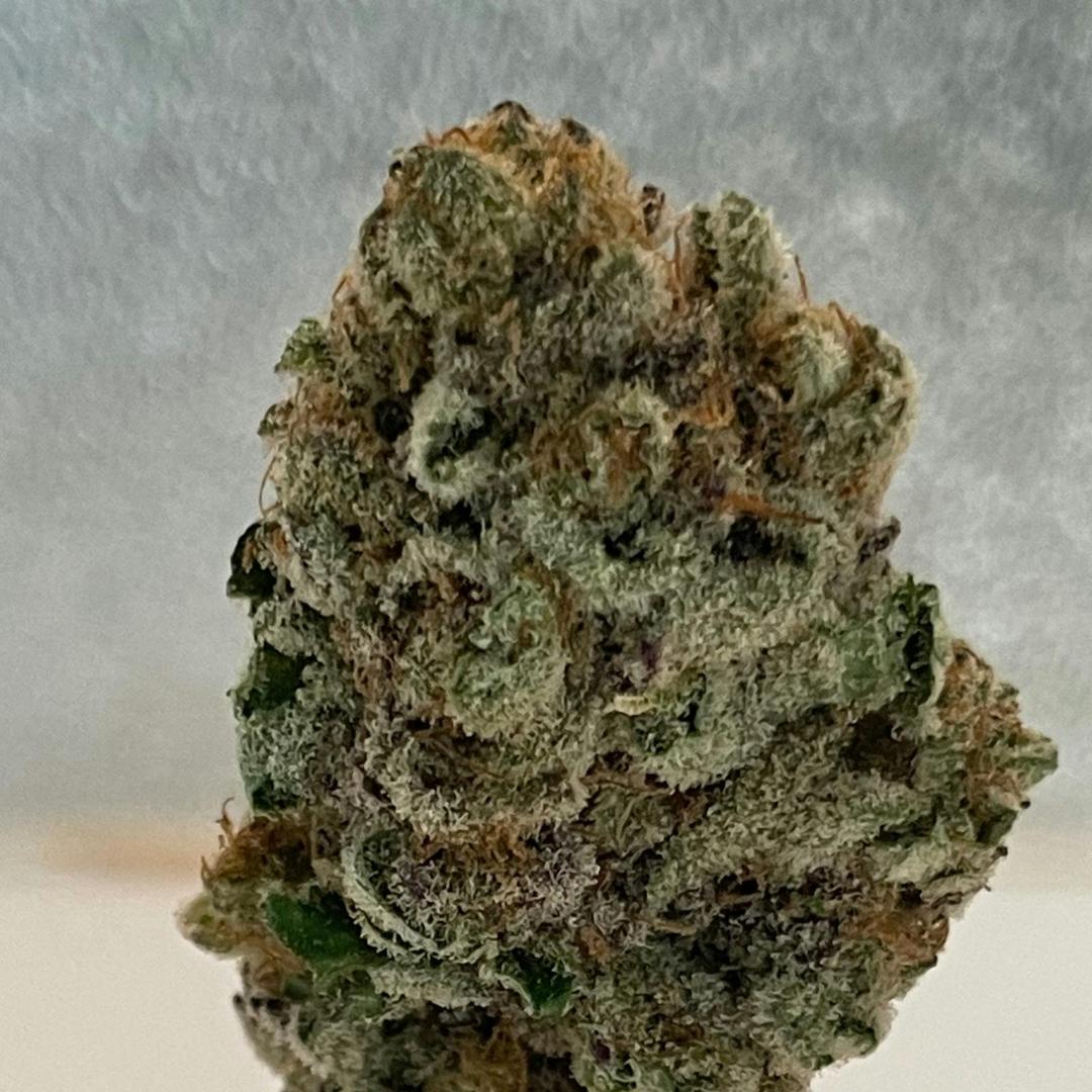 Grease Monkey