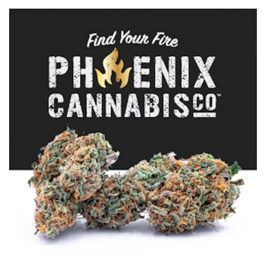 Tasty Buds PrePack (1/8 Oz) Cheetah Piss