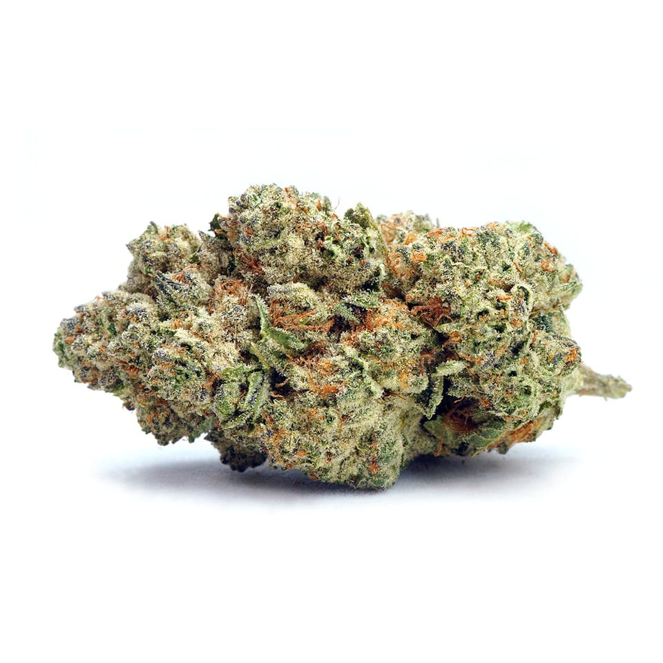 Mimosa | Greenhouse 3.5g