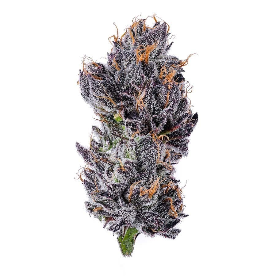 Blue Chip - Mango Runtz
