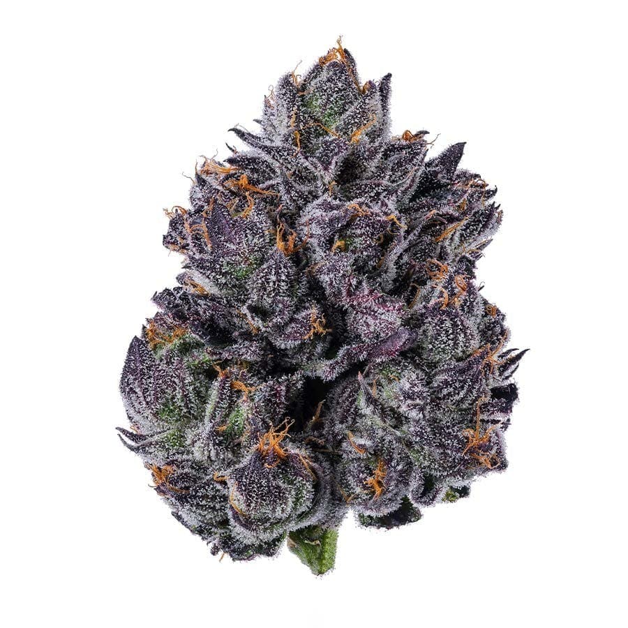Blue Chip - Lemon Cherry Gelato 3.5g