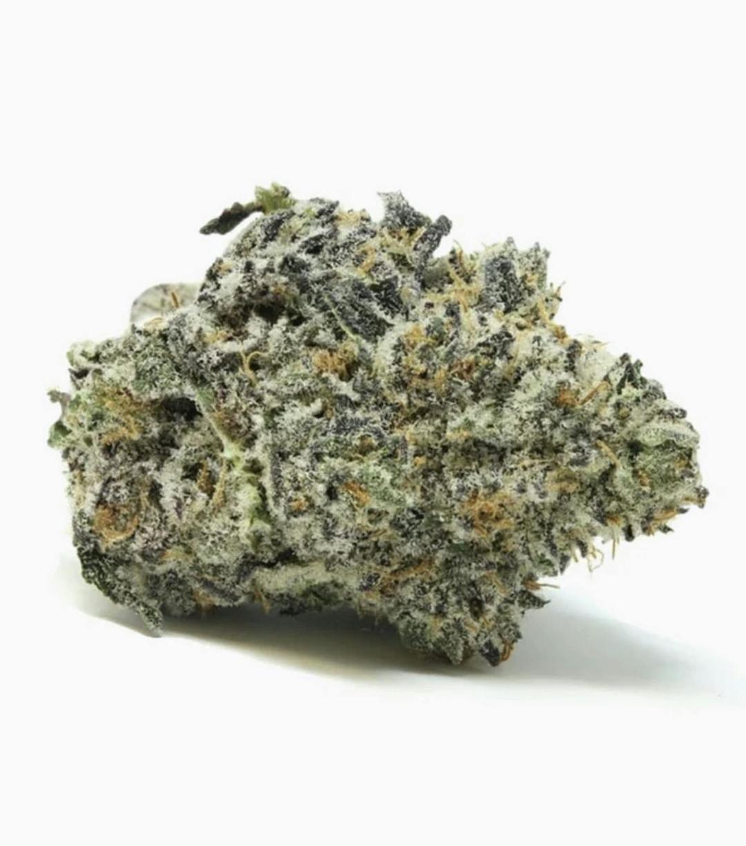 Jet Fuel Gelato