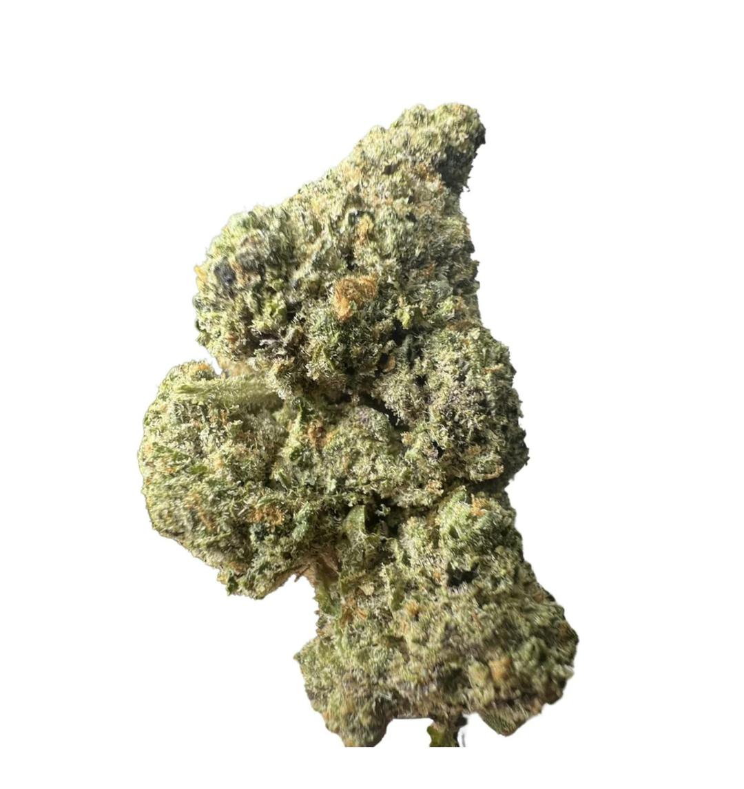 Gelato 41 F2