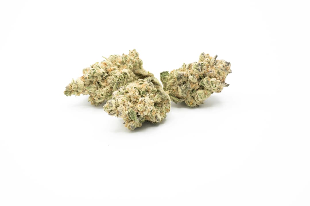 Animal Cookies Crisp 1g Flower