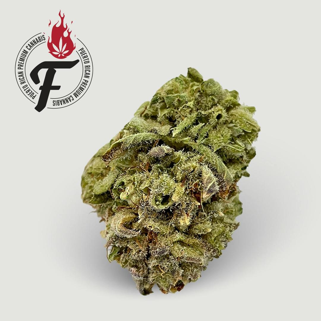 Grease Monkey - Fuego