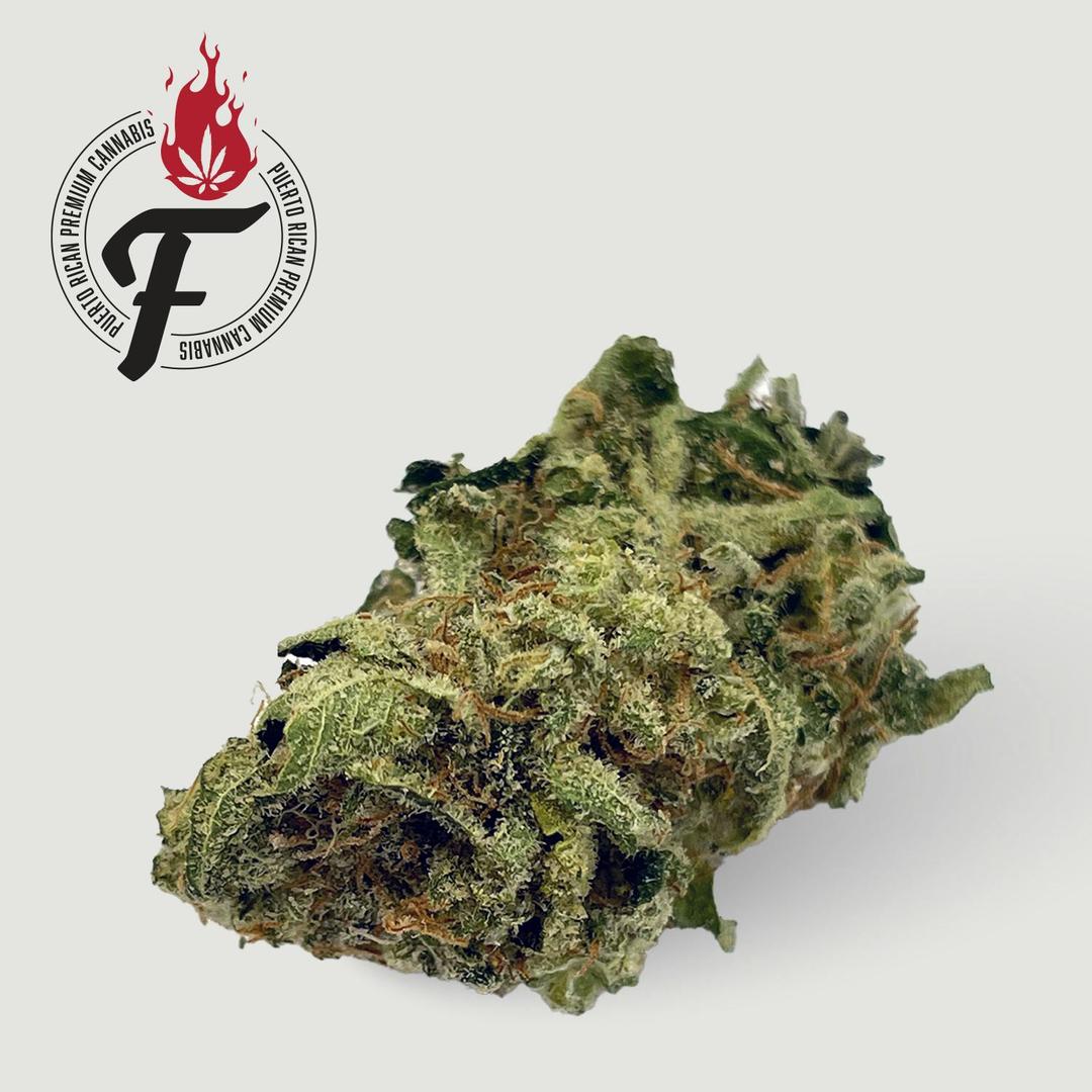 Jack La Mota - Fuego