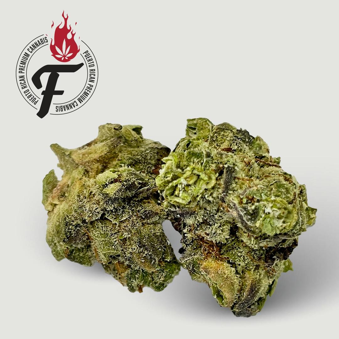 Modified Grapes - Fuego