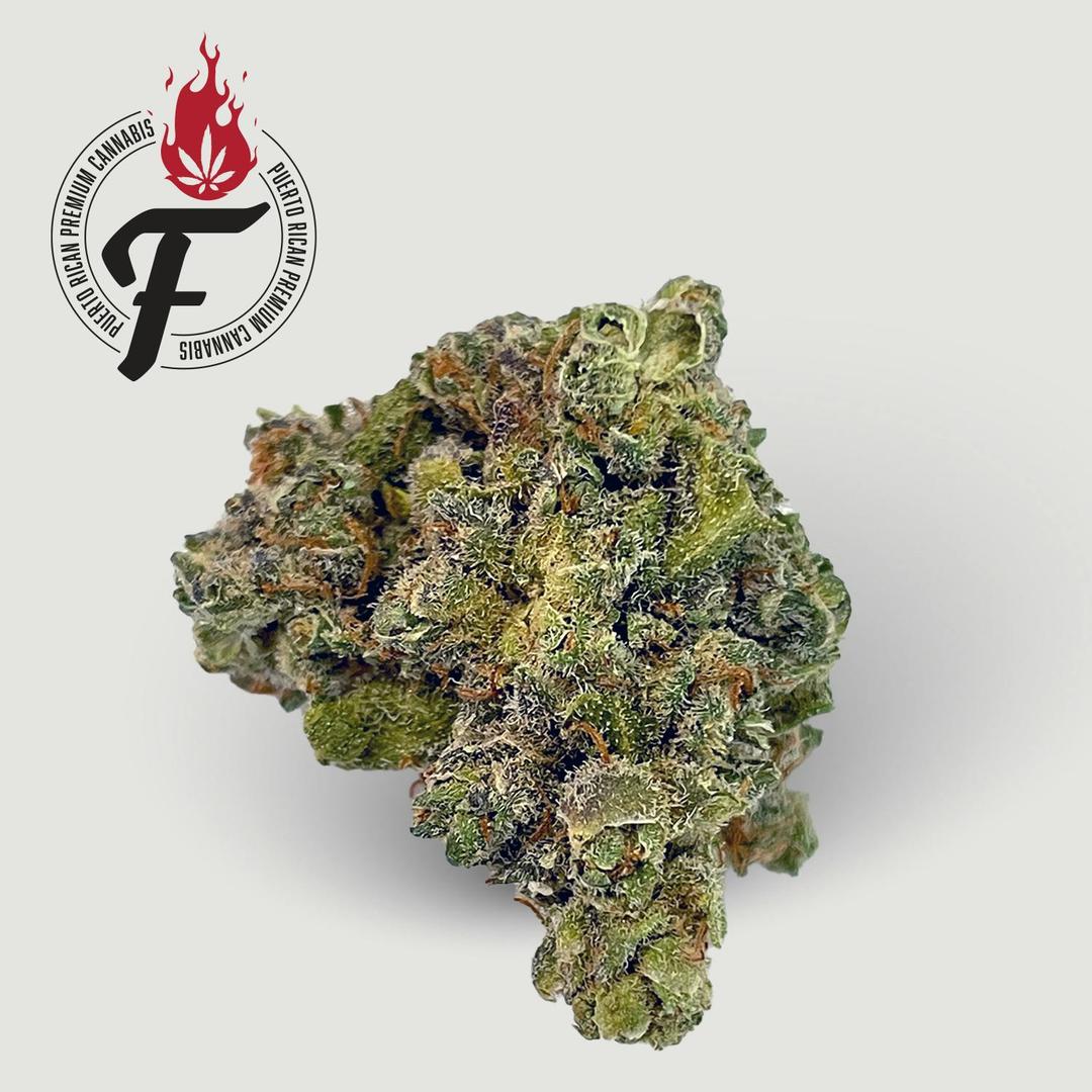 Trinity - Fuego