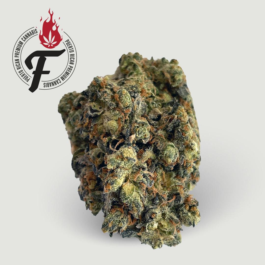 Cinderella Haze - Fuego