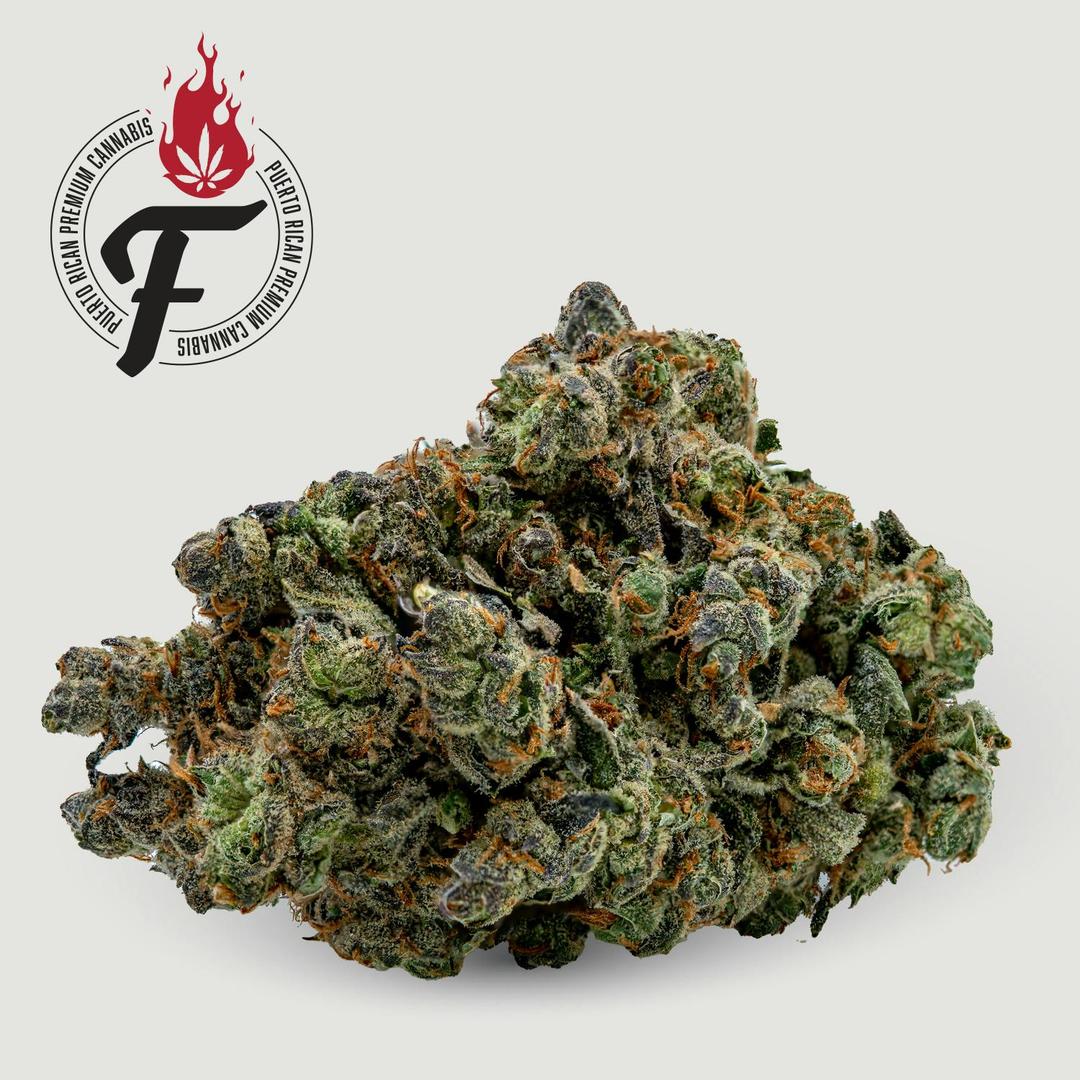 Sangiovese - Fuego