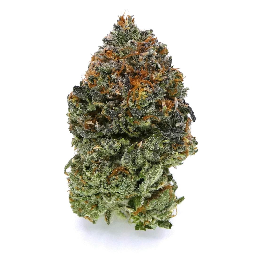 Petrol Diamonds Buds