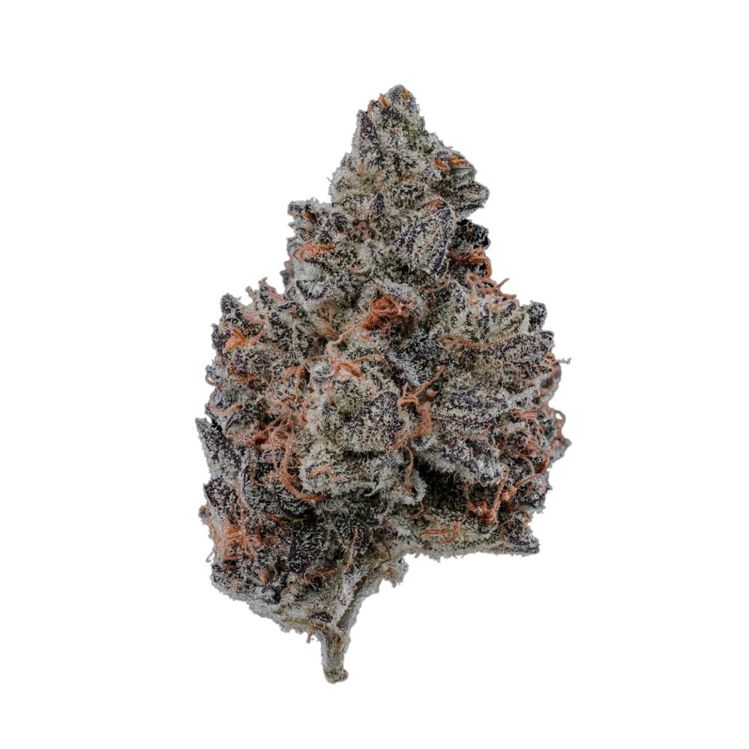 Paradise Flower - Elderberries (3.5g)