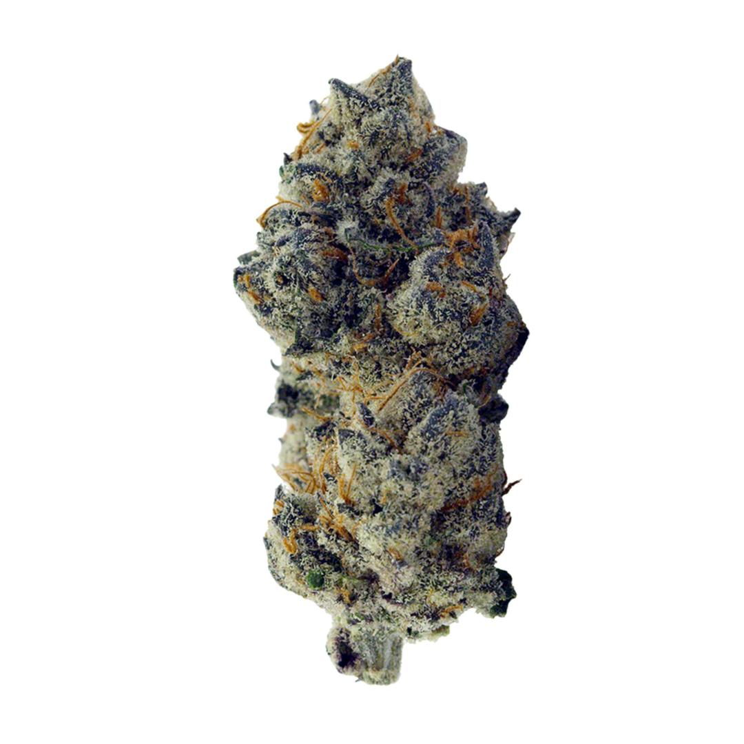 Paradise Flower - Milk + Honey (3.5g)