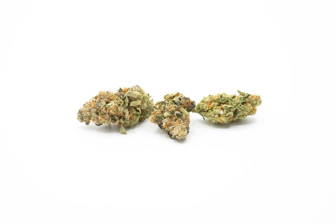GMO Cookies 1g Flower