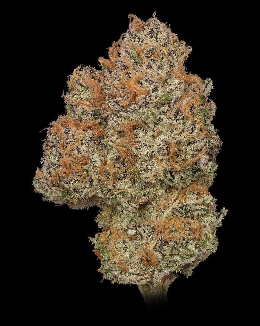 AK Cookies 3.5g Flower
